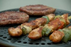 Cobb Premier+ Gas Gasbarbecue - Grijs 21 Cobb Premier+ Gas Gasbarbecue - Grijs -Winkel Voor Kampeerartikelen 1263 1900 dsc 0474