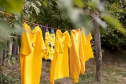 Easy Camp Eclipse 300 Tunneltent - 3 Persoons - Groen 17 Easy Camp Eclipse 300 Tunneltent - 3 Persoons - Groen -Winkel Voor Kampeerartikelen 1267 1900 waslijn 1