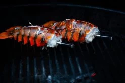 MEATER Block Met 4 Draadloze Thermometers -Winkel Voor Kampeerartikelen 20190625 mg 6541