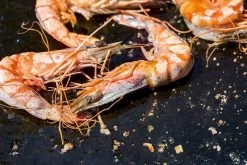 OFYR Kookboek 12 OFYR Kookboek -Winkel Voor Kampeerartikelen 800 1200 cb no1 nl fr 3