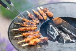 RedFire ONYX Classic Vuurschaal Bbq - 80 Cm -Winkel Voor Kampeerartikelen 85208 lifestyle 06 1