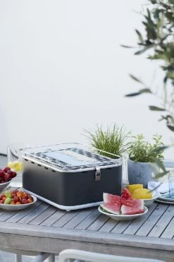 Barbecook Carlo Houtskool Tafelbarbecue - Grijs -Winkel Voor Kampeerartikelen 900 600 bc cha 1015 sf 16 hr