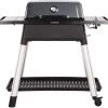 Everdure Force Gas Barbecue - Grijs -Winkel Voor Kampeerartikelen 900 959 9312646028562