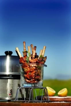 Cobb Premier+ Gas Gasbarbecue - Grijs 23 Cobb Premier+ Gas Gasbarbecue - Grijs -Winkel Voor Kampeerartikelen cobb premier 3 1